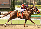 Top Fortitude Shows Grit in Barrera Stunner Top Fortitude Shows Grit in Barrera Stunner