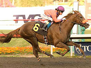 Six Potential Stars Line Up in Sham Stakes Six Potential Stars Line Up in Sham Stakes