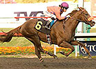 Six Potential Stars Line Up in Sham Stakes Six Potential Stars Line Up in Sham Stakes