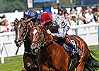 Toronado to Carry Hannon Hopes in BC Mile Toronado to Carry Hannon Hopes in BC Mile