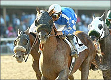Total Impact 'Good as Ever' Going Into Clark Total Impact 'Good as Ever' Going Into Clark