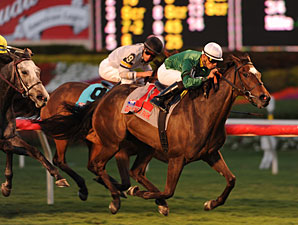 Suwannee River: Tottie at Home on U.S. Turf Suwannee River: Tottie at Home on U.S. Turf