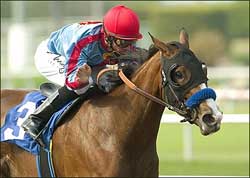 Tough Tiz's Sis Puts Twist in Hollywood Tough Tiz's Sis Puts Twist in Hollywood