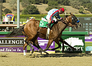 Tough Tiz's Sis Stands Out in Hawthorne Tough Tiz's Sis Stands Out in Hawthorne