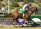 Tough Tiz's Sis Stands Out in Hawthorne