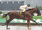 Tough Tiz's Sis Romps in Ruffian