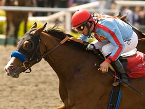Tough Tiz's Sis Retired Due to Fracture Tough Tiz's Sis Retired Due to Fracture