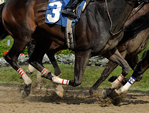 Belmont Park in Midst of Accreditation Review Belmont Park in Midst of Accreditation Review