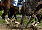 Belmont Park in Midst of Accreditation Review Belmont Park in Midst of Accreditation Review