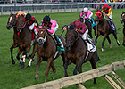 Trade Storm Reigns With Woodbine Mile Upset Trade Storm Reigns With Woodbine Mile Upset