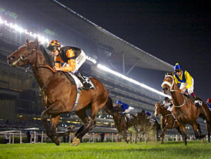 Game Trade Storm Denies Musir in Zabeel Mile Game Trade Storm Denies Musir in Zabeel Mile