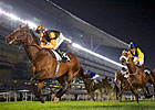 Game Trade Storm Denies Musir in Zabeel Mile Game Trade Storm Denies Musir in Zabeel Mile