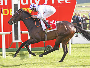 Trading Leather Wins Irish Derby; Ruler Flops Trading Leather Wins Irish Derby; Ruler Flops