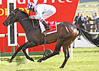 Trading Leather Wins Irish Derby; Ruler Flops Trading Leather Wins Irish Derby; Ruler Flops