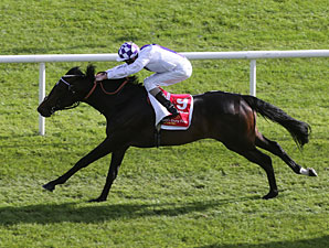 Mahubah's Corner: Jim Bolger Mahubah's Corner: Jim Bolger
