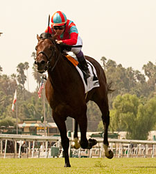 Trailblazer Continues Breeders' Cup Work Trailblazer Continues Breeders' Cup Work