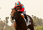 Trailblazer Continues Breeders' Cup Work