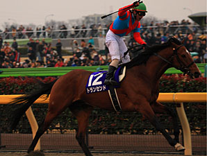 Transcend Popular Winner of February Stakes Transcend Popular Winner of February Stakes