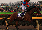 Transcend Popular Winner of February Stakes Transcend Popular Winner of February Stakes