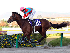 Transcend Typifies Wild Rush Record in Japan Transcend Typifies Wild Rush Record in Japan