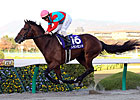Transcend Repeats in Japan Cup Dirt Transcend Repeats in Japan Cup Dirt