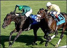 Transduction Gold Taking a Big Step Up in Breeders' Cup Turf Transduction Gold Taking a Big Step Up in Breeders' Cup Turf
