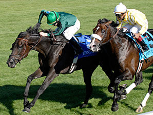 Transduction Gold Tries For Repeat