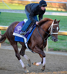 Trappe Shot Has Big Shot in Dirt Mile Trappe Shot Has Big Shot in Dirt Mile
