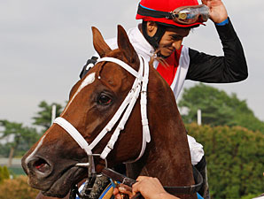 Top Horses Entered at Belmont, Delaware Top Horses Entered at Belmont, Delaware