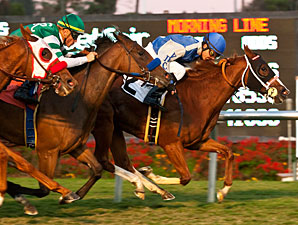 Speedy Travesura Makes Miesque Mischief Speedy Travesura Makes Miesque Mischief