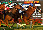 Speedy Travesura Makes Miesque Mischief Speedy Travesura Makes Miesque Mischief
