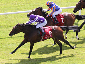 Clean Sweep for O'Brien In Irish Derby Clean Sweep for O'Brien In Irish Derby