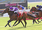 European Treasure Beach Secretariat Favorite