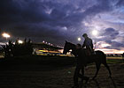 Arlington Million Runs the Globe Arlington Million Runs the Globe