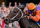 Treasured Up Heads Return of Arlington Oaks Treasured Up Heads Return of Arlington Oaks