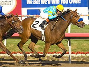 Tres Borrachos Works for Preakness Tres Borrachos Works for Preakness