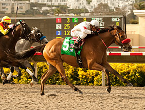 Tres Borrachos Becomes Toast of San Diego Tres Borrachos Becomes Toast of San Diego