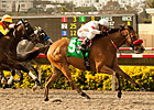 Tres Borrachos Becomes Toast of San Diego Tres Borrachos Becomes Toast of San Diego