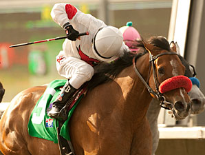 San Pasqual: Tres Borrachos Totes Top Weight San Pasqual: Tres Borrachos Totes Top Weight