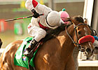 San Pasqual: Tres Borrachos Totes Top Weight