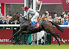 Treve Regains Brilliance to Post Arc Repeat Treve Regains Brilliance to Post Arc Repeat