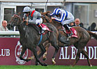 Treve an Arc Favorite After Prix Vermeille Treve an Arc Favorite After Prix Vermeille