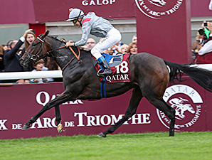Arc Winner Treve is Cartier Horse of the Year Arc Winner Treve is Cartier Horse of the Year
