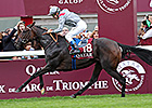 Treve Returns From Injury in Prix Vermeille Treve Returns From Injury in Prix Vermeille