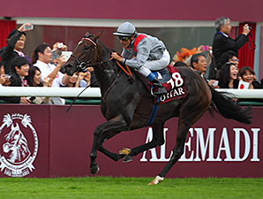 Treve Finalist for Cartier Horse of the Year Treve Finalist for Cartier Horse of the Year