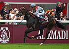 Treve Finalist for Cartier Horse of the Year Treve Finalist for Cartier Horse of the Year