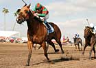 Tribesman, Vicarino Clash at Bay Meadows