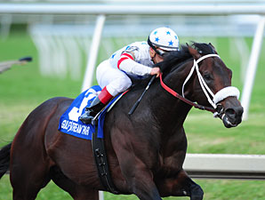 Trickmeister Remains Unbeaten in Comeback Win Trickmeister Remains Unbeaten in Comeback Win