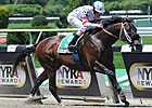 Trickmeister to Tomorrow Bloodstock in NY Trickmeister to Tomorrow Bloodstock in NY