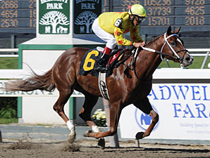Trinity Magic's Earnings to Aid Charity Trinity Magic's Earnings to Aid Charity